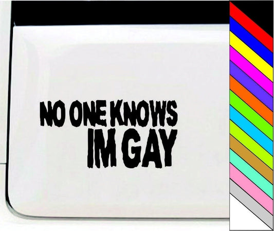 NO ONE KNOWS IM GAY Funny Car/Bumper/Window Vinyl Decal Stickers Car Decor Waterproof