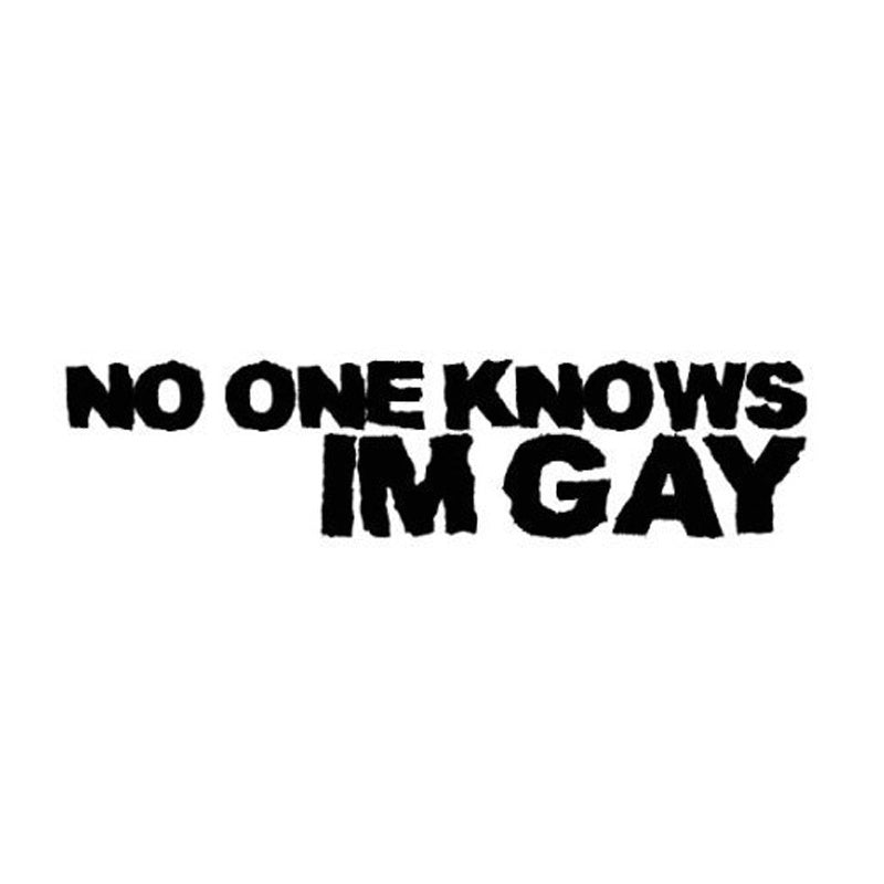 Fashion  NO ONE KNOWS IM GAY Funny Car Bumper Sticker