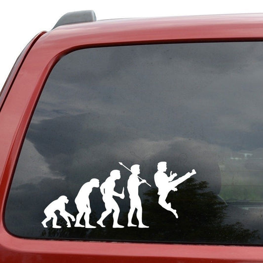 New Hot   Evolution Karate Vinyl Decal Decor Sticker