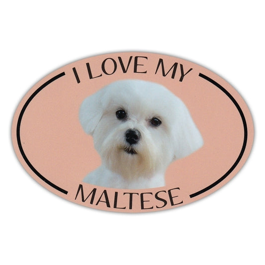 New Brand  Oval Dog Breed Picture Car Magnet - I Love My Maltese - Bumper Sticker Decal - 6" x 4"