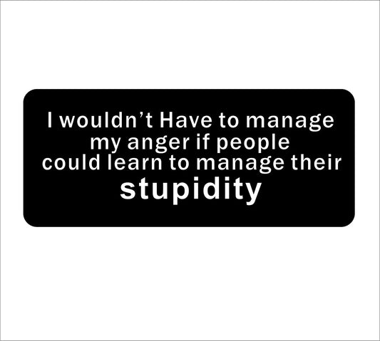 Fashion  I Wouldn't Have To Manage My Anger If People Could Learn To Manage Their Stupidity Hard Hat Biker Helmet Stickers