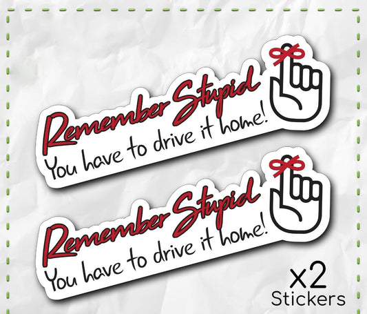 REMEMBER STUPID Sticker Decal Funny Car Truck 4X4 Offroad 4wd Dirt JDM Race