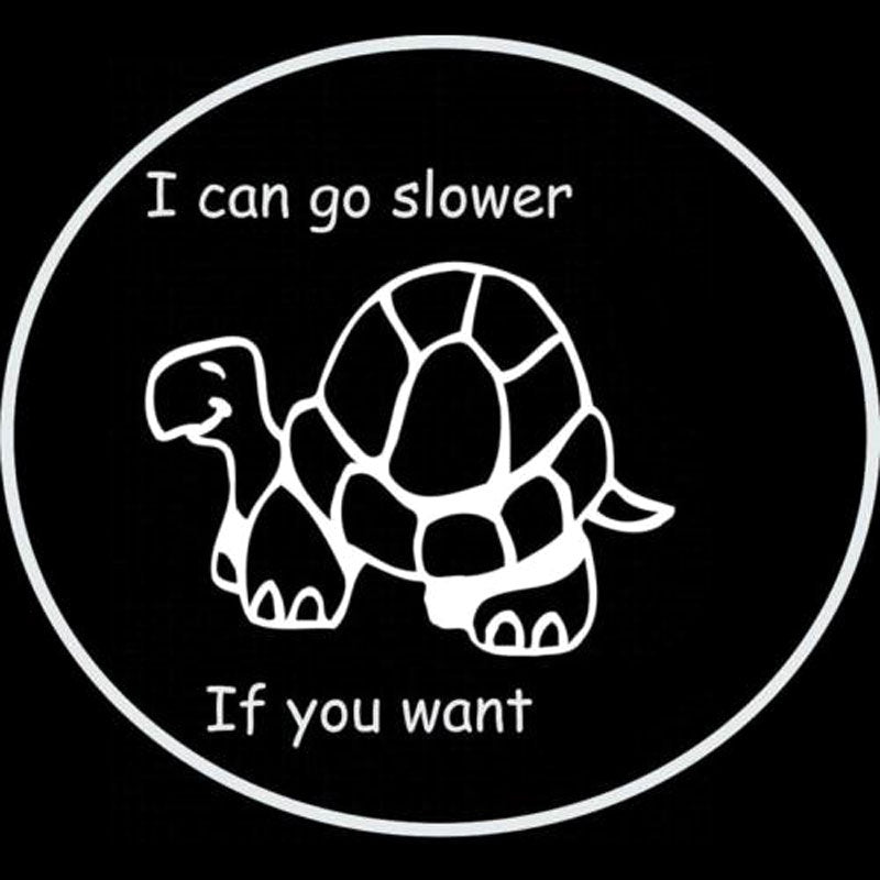 2019 NEW 16CM*15CM Tortoise Vinyl Sticker Decal For Cars Caravans Fun Sticker Cute Car Styling Car Stickers In Black Or Sliver C8-0187