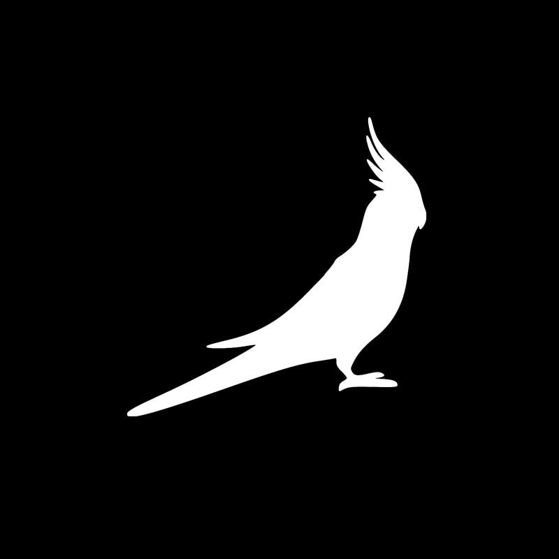 17cm*17cm Cartoon Cockatoo Parrot Bird COCKATIEL Vinyl Car Sticker Decal Black Silver Accessories C15-1102