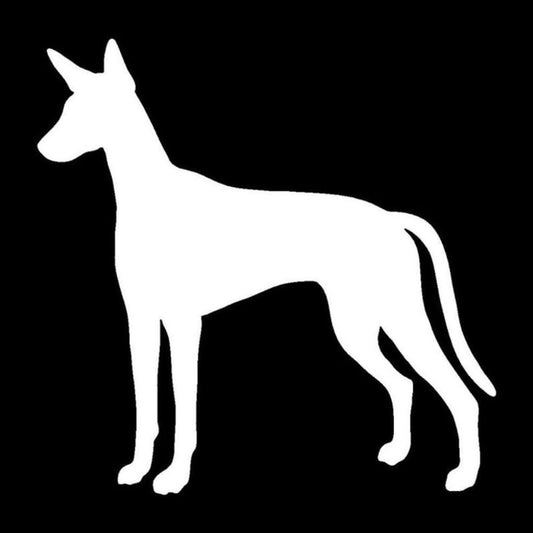12.7*12.7CM Ibizan Hound Dog Vinyl Decal Silhouette Car Stickers Car Styling Bumper Decoration Black/Silver S1-1199