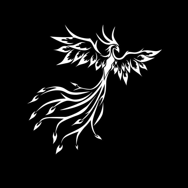 14.2CM*13.8CM Fashion PHOENIX BIRD Vinyl Car-styling Car Window Sticker Decal Black Silver C15-1022