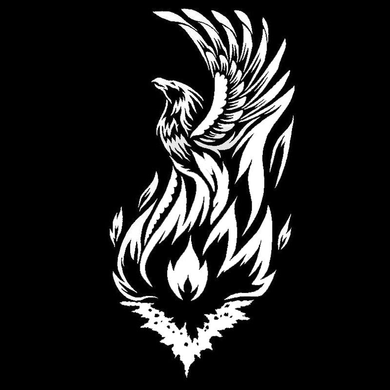 10.1*20CM Mythical Phoenix With Cool Flame Vinyl Car Stickers  Decal Car Styling Black/Silver S1-2484