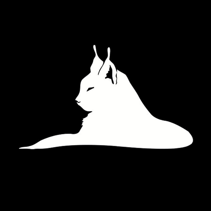 40.6*24.4CM Elegant Cat Face Car Door Stickers Vinyl Beautiful Car Styling Decoration Black/Silver S1-0169