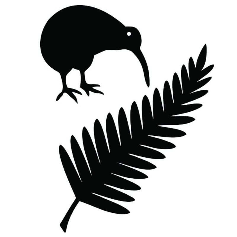 11.4*15CM Kiwi Bird And New Zealand Fern Vinyl Car Stickers Creative Car Styling Decal Black/Silver S1-2427