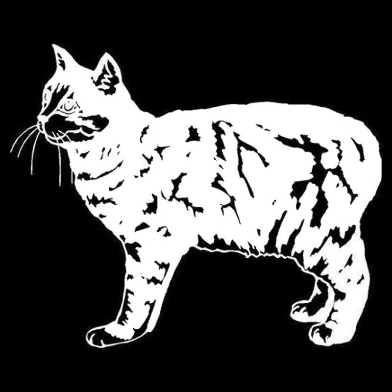 13*10.7CM Manx Cat Vinyl Decal Endearing Car Stickers Car Styling Bumper Accessories Black/Silver S1-1393