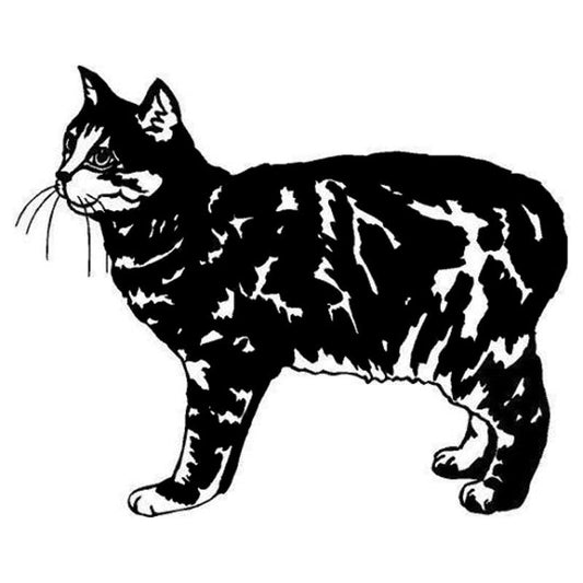 13*10.7CM Manx Cat Vinyl Decal Endearing Car Stickers Car Styling Bumper Accessories Black/Silver S1-1393