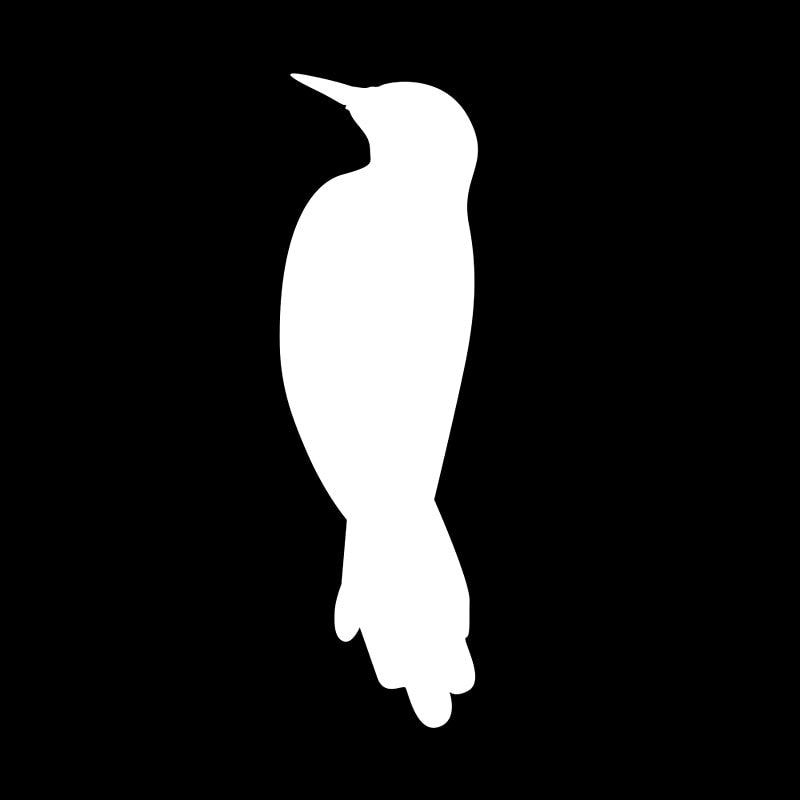 5CM*16.5CM Fun Woodpecker Bird Silhouette Vinyl High-quality Car Sticker Decal Black/Silver C15-0826