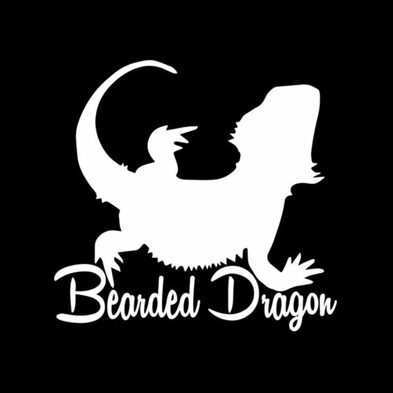 12.4*12CM Funny Bearded Dragon Decor Vinyl Car Stickers Bumper Car Window C12-1108
