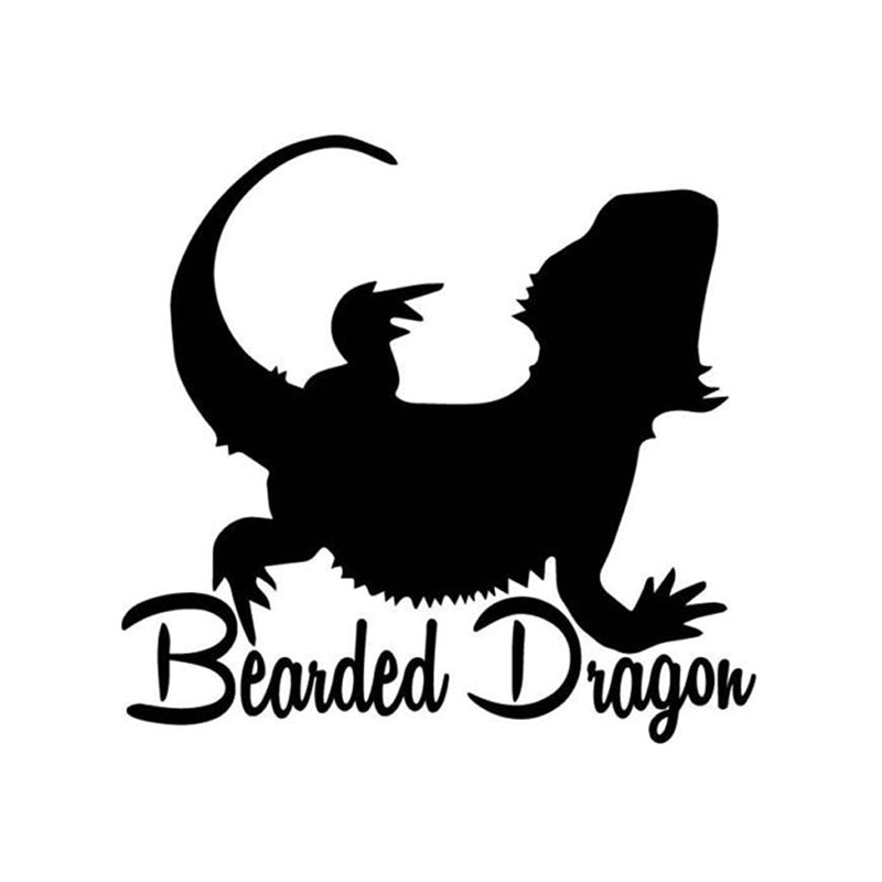 12.4*12CM Funny Bearded Dragon Decor Vinyl Car Stickers Bumper Car Window C12-1108