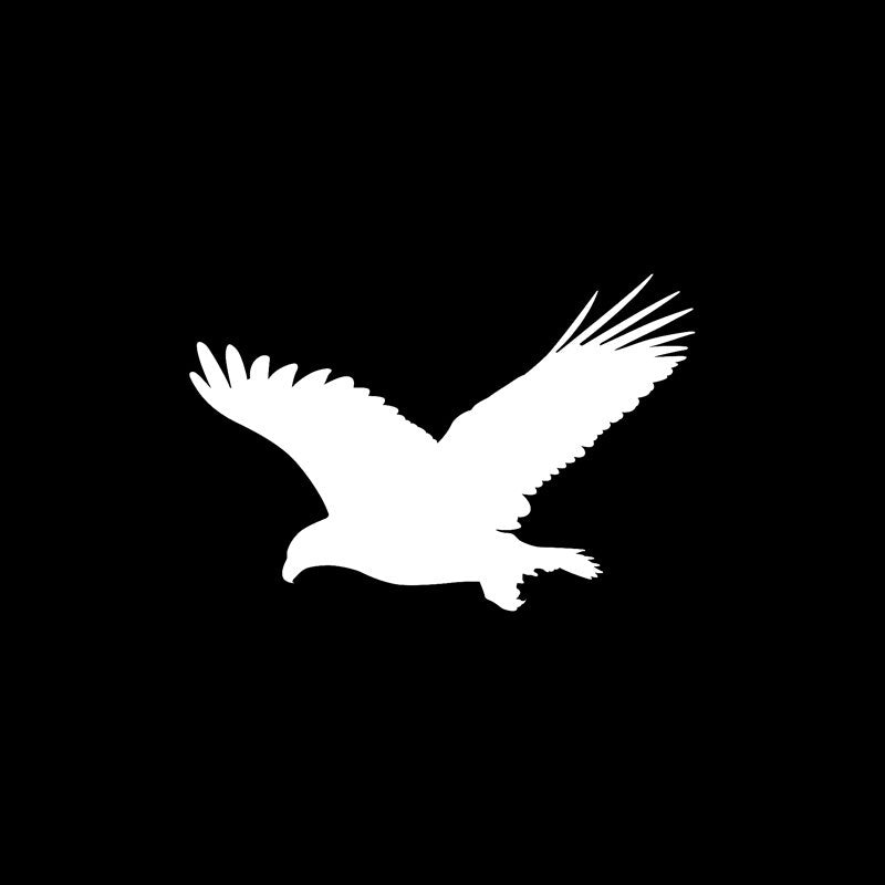 16.6CM*10.9CM Fun Eagle Bird Vinyl Car Window Sticker Black/Silver Decal Car-styling C11-1078