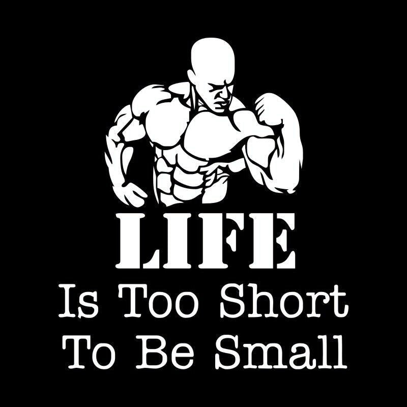 10.8CM*12.3CM LIFE Is Too Short To Be Small Bodybuilder Vinyl Car Sticker Decal S9-0023