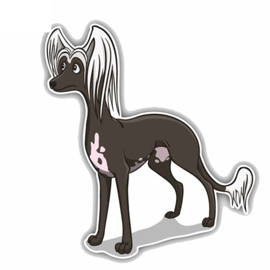 15CMx16.5CM Chinese Crested Dark Dog  High Quality Material Car Sticker C1-9055