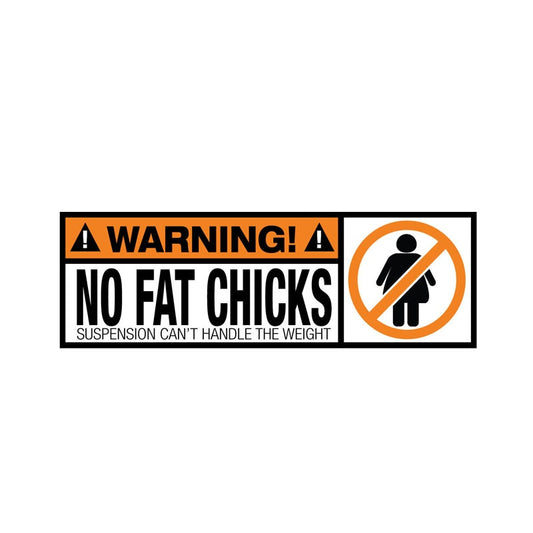 18.8CM*6.3CM WARNING  Funny Decal WARNING No Fat Chicks Car Sticker 12-0793