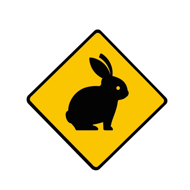 10CM*10CM Cute Rabbit Animal Warning Car Sticker  Decal 12-1283
