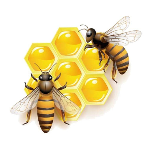 15.4CM*13.7CM Bees That Eat Honey  Car Sticker Decal 12-300573
