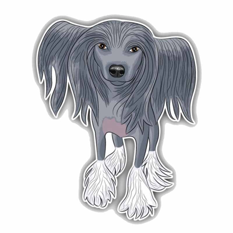 9.5CMx12CM Chinese Crested Dog Car Decoration Bumper Window Sticker C1-9006