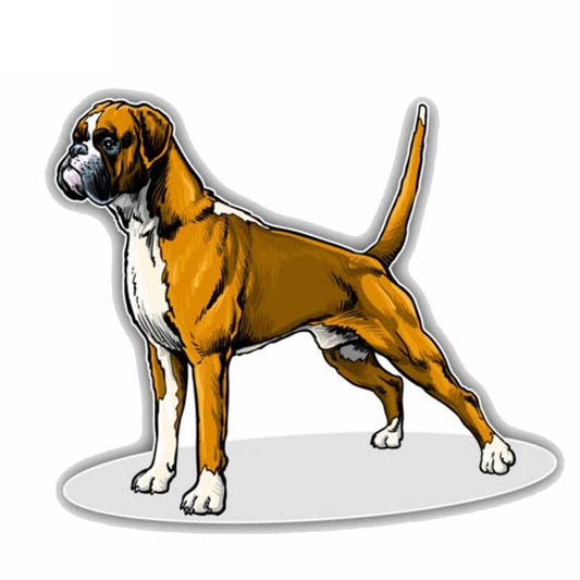 14CMx11.8CM Lovely Boxer Breed Dog Car Decoration Bumper  High Quality Car Sticker C1-9078