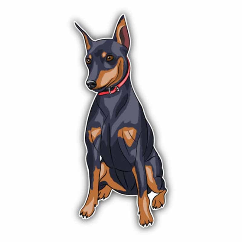 7.6CMx17CM Miniature Pinscher Breed Dog Car Decal C1-9039