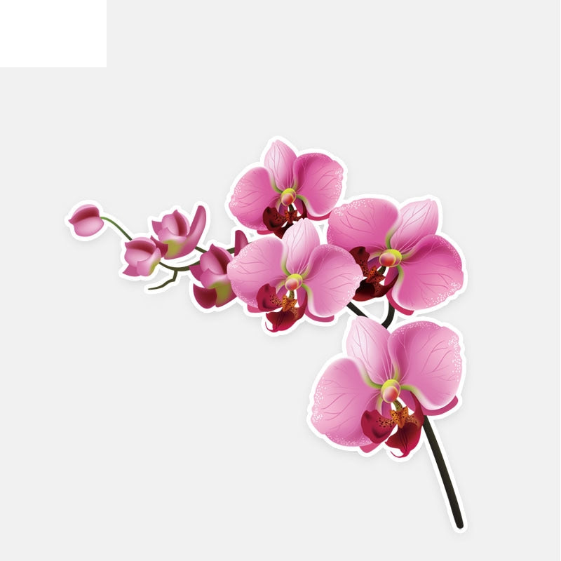 12.7*12.6CM Interesting Orchid Decor Car Stickers High Quality Personalized 11A0884