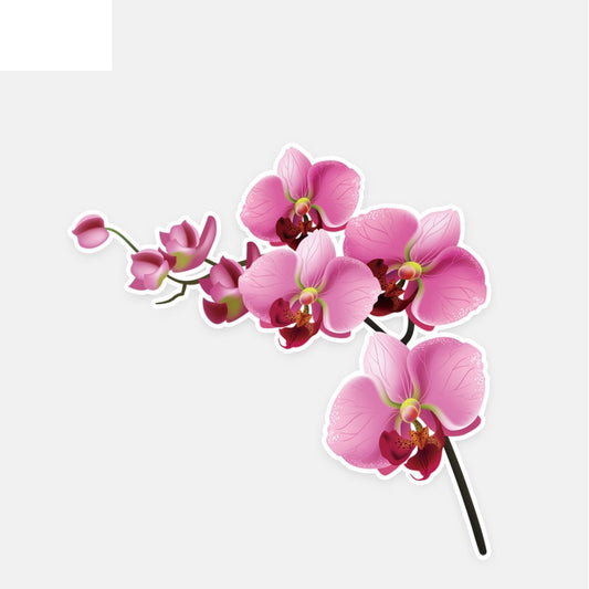 12.7*12.6CM Interesting Orchid Decor Car Stickers High Quality Personalized 11A0884