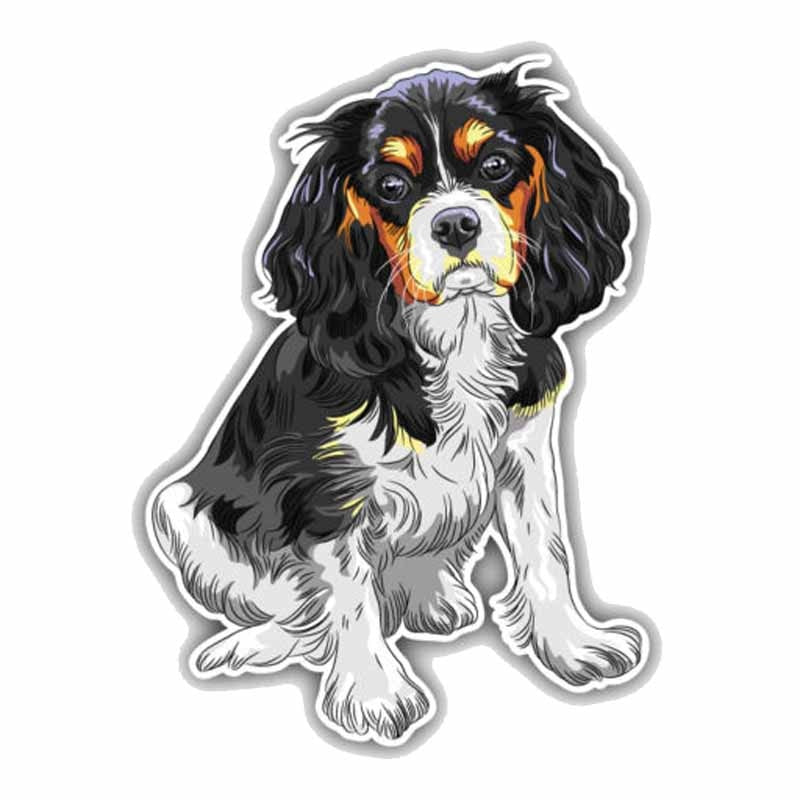 11CMx15CM Sitting Cavalier King Charles Spaniel Breed Dog PVC High Quality Car Sticker C1-9074