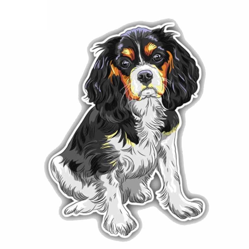 11CMx15CM Sitting Cavalier King Charles Spaniel Breed Dog PVC High Quality Car Sticker C1-9074