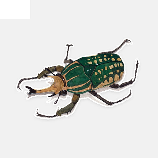12.4*8.1CM Lovely Stag Beetles Decor Car Stickers High Quality Personalized Colored 11A0624