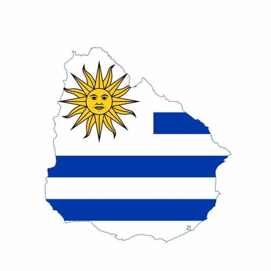 New Brand 13.8CM*14.3CM Creative Body Flag Decal Uruguay Map Motorcycle Car Sticker 6-0855