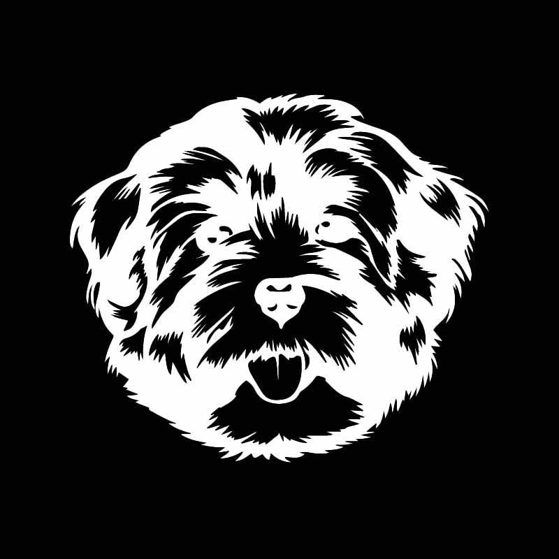 16.1X14.1CM Cute Animal Car Sticker Havanese Face Vinyl Decal Dog Breed Black/Silver C24-1532