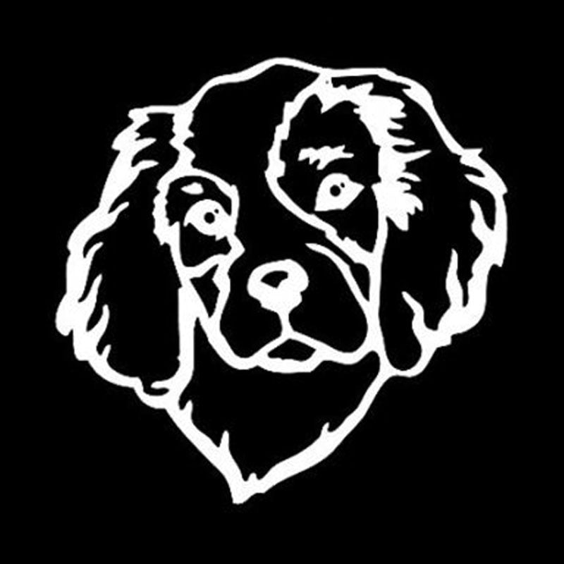 12.7*12.7CM Cavalier King Charles Spaniel Dog Pet Vinyl Decal Window Decorative Car Stickers Black/Silver C6-1759