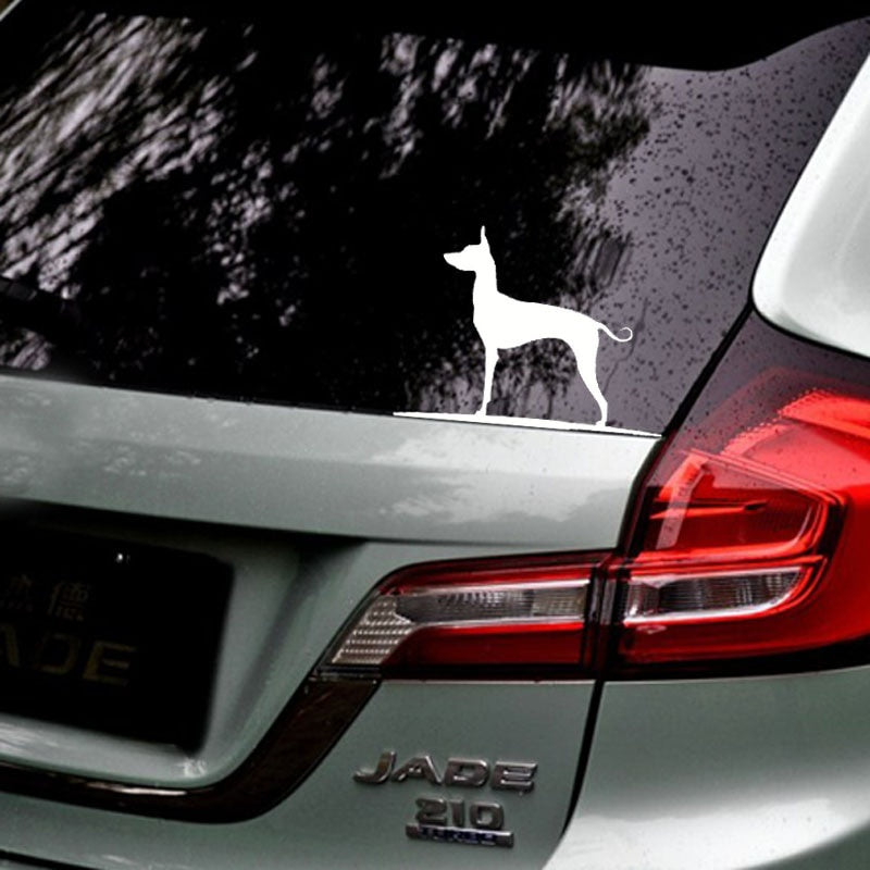 2020 NEW 16.8CM*12CM Mexican Hairless Dog Vinyl Car Window Car Sticker C2-3021