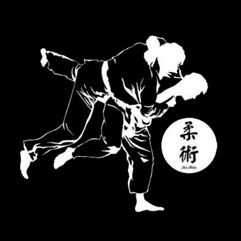 13cm*11.5cm Creative Sashion Chinese Kung Fu Jiu Jitsu Car Styling Car Sticker Decal C5-1818