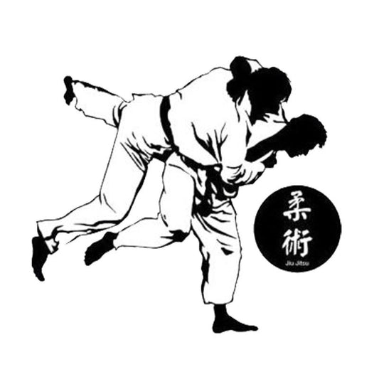 13cm*11.5cm Creative Sashion Chinese Kung Fu Jiu Jitsu Car Styling Car Sticker Decal C5-1818