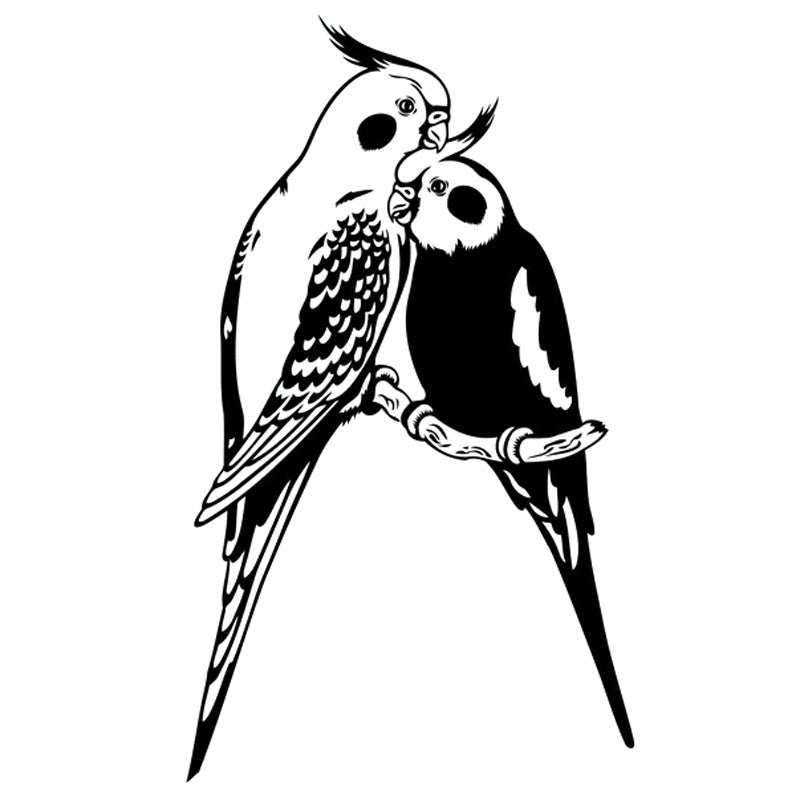 11.6X20CM Parrot Bird Interesting Fashion Vinyl Decal Car Sticker Black Silver Accessories S6-2511
