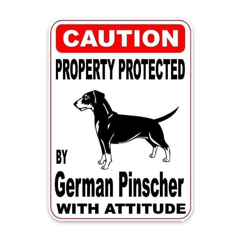 11.4*16CM Property Protected By German Pinscher Dog Sketch Car Bumper Window Decoration Car Sticker  C1-4713