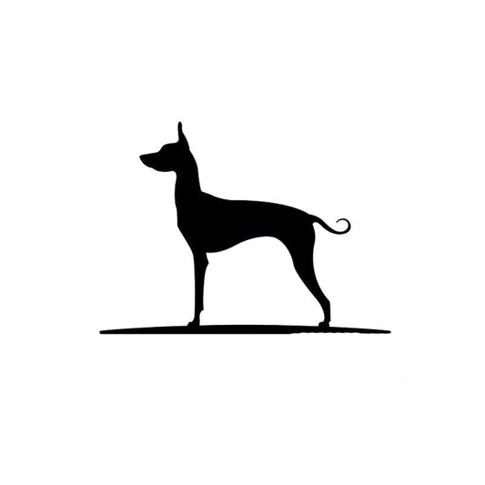 New Hot 16.8CM*12CM Mexican Hairless Dog Vinyl Car Window Car Sticker C2-3021