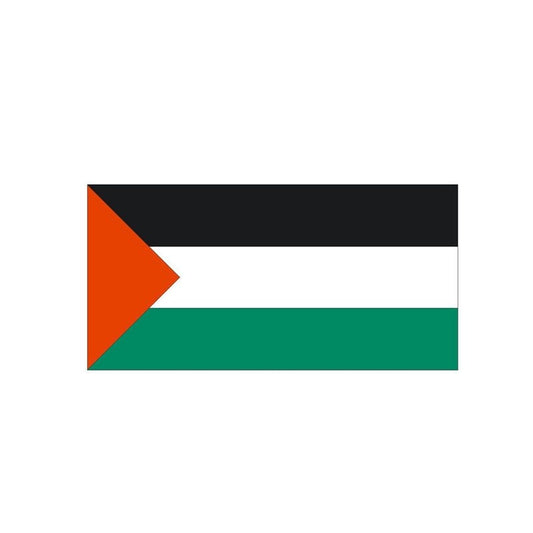 13.8CM*6.9CM Funny  Creative PALESTINE Flag Decal Car Sticker  6-0448