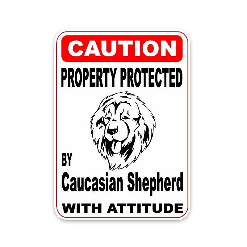 10*14.2CM Property Protected By Weimaraner Dog Car Bumper Car Sticker C1-4428