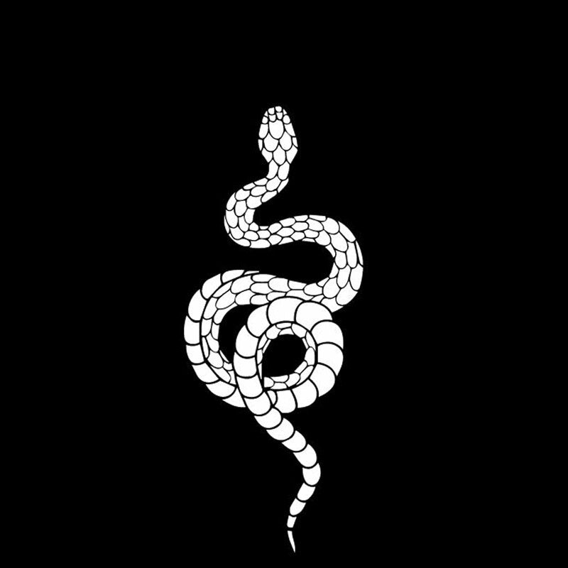 Hot 6.7CM*16.3CM Horror Snake Bumper Creative Decoration Car Sticker Vinyl Decal Black/Silver C4-1538