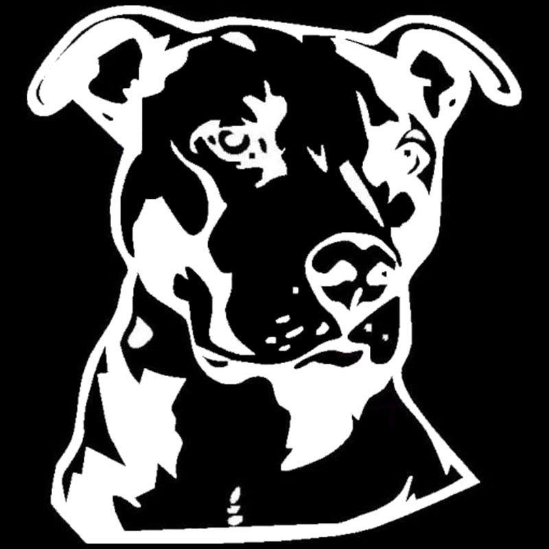 New Hot 14*15.2CM Pit Bull Face Vinyl Decal Car Styling Animal Decoration Accessories Classic Personality Stickers C6-1740