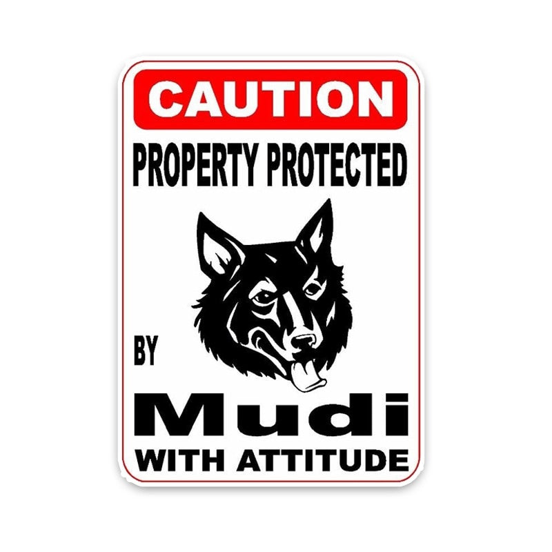 10*14.2CM Property protected by Mudi Dog Personality Retro- Car Sticker Decals C1-4436