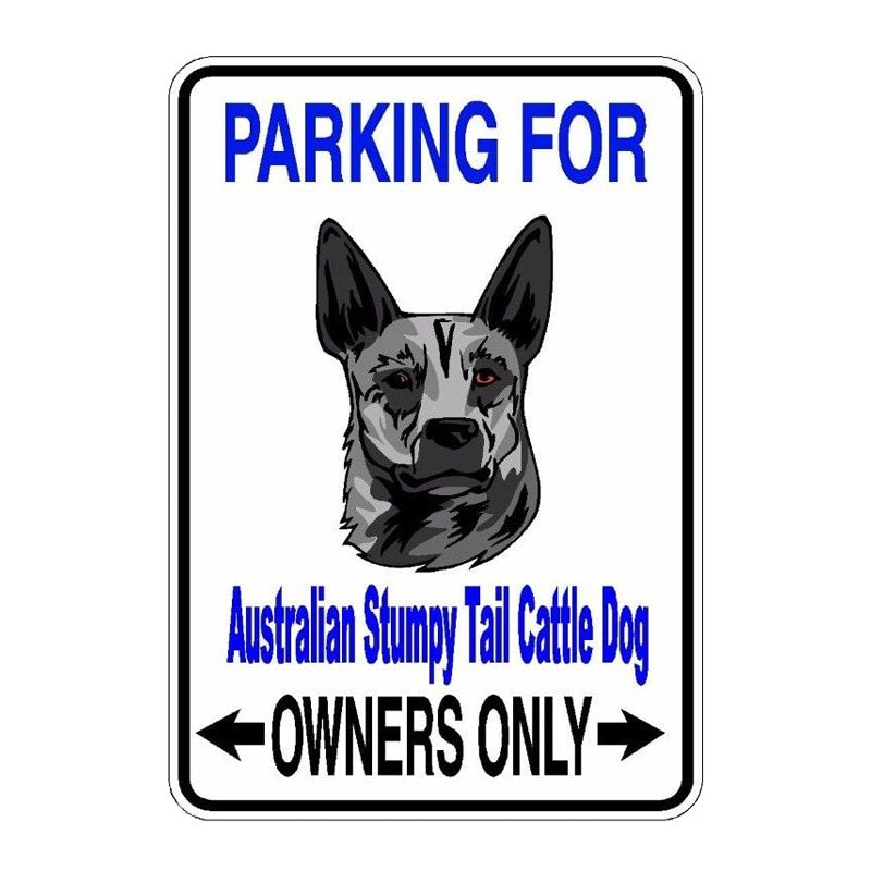 10*14.2CM Australian Stumpy Tail Cattle Dog  High Quality Animal Car Sticker C1-4595