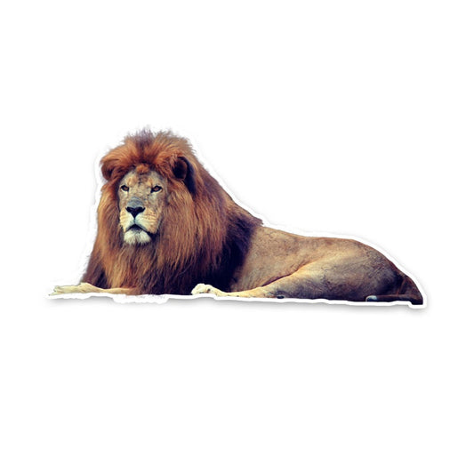 16.8CM*8CM Recumbency Big Lion Animal  Car Sticker Decal Motorcycle Car-styling 5-0569