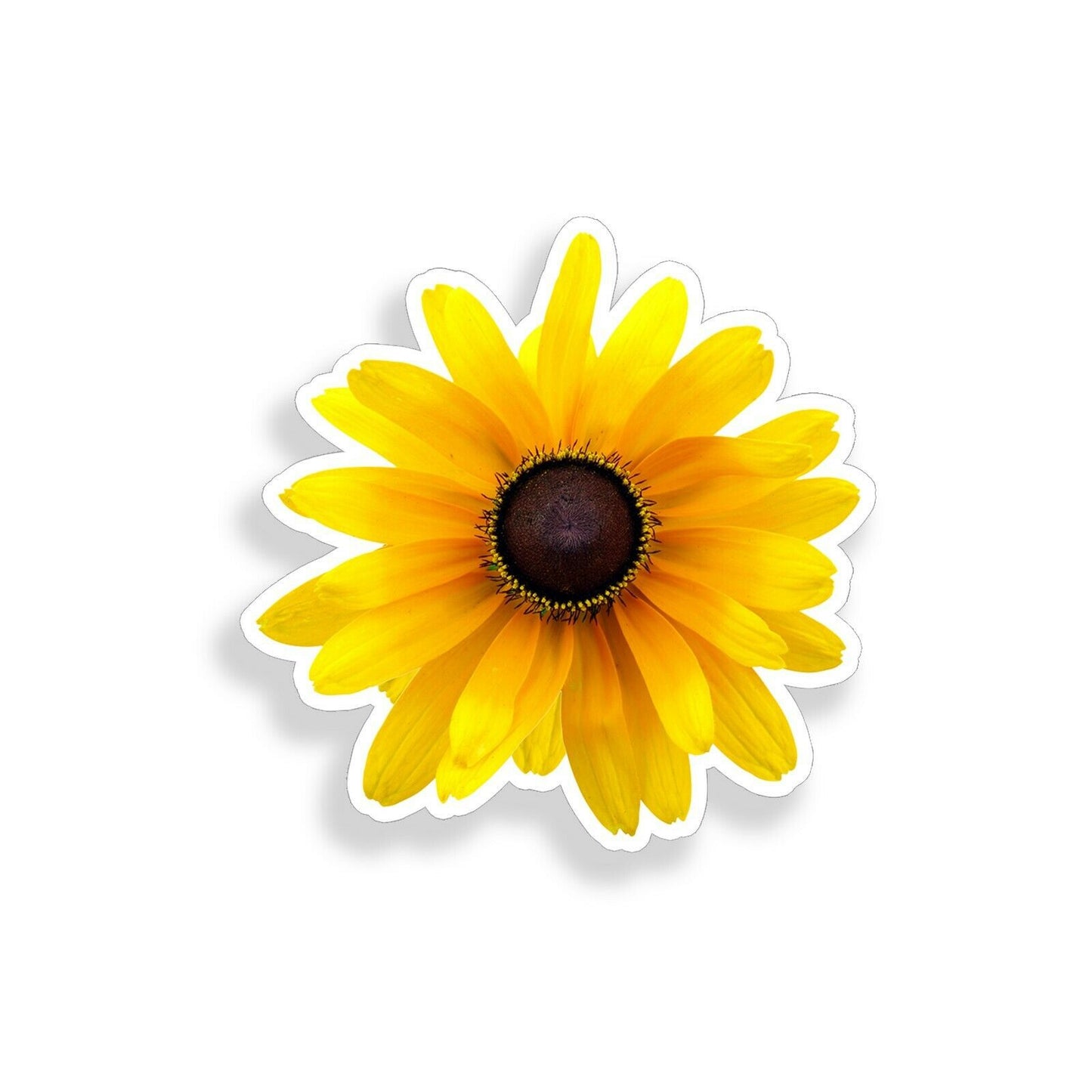 Black Eyed Susan Flower Sticker Cup Laptop Car Vehicle Window Bumper Vinyl Decal  Thunbergia Alata