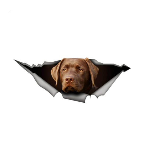 13cm*5.2cm Labrador Decal chocolate Retriever Decal car sticker 3D Graphic Vinyl Decal Car Window Laptop Car Sticker